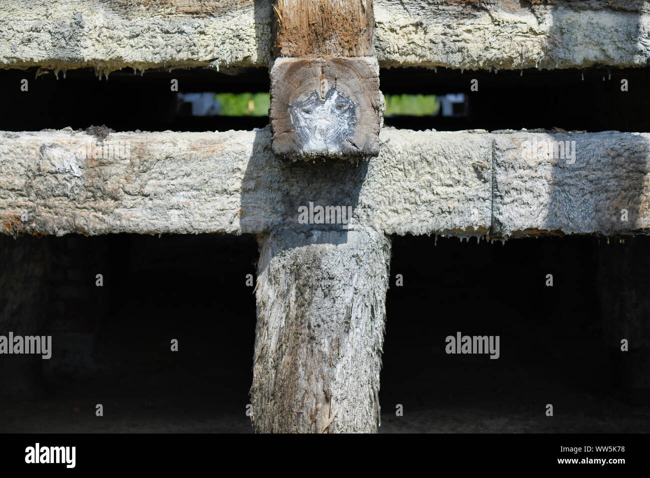 Eine Nahaufnahme eines Salzes Fleck auf Holz - Graduierung Turm Ciechocinek Polen Stockfoto