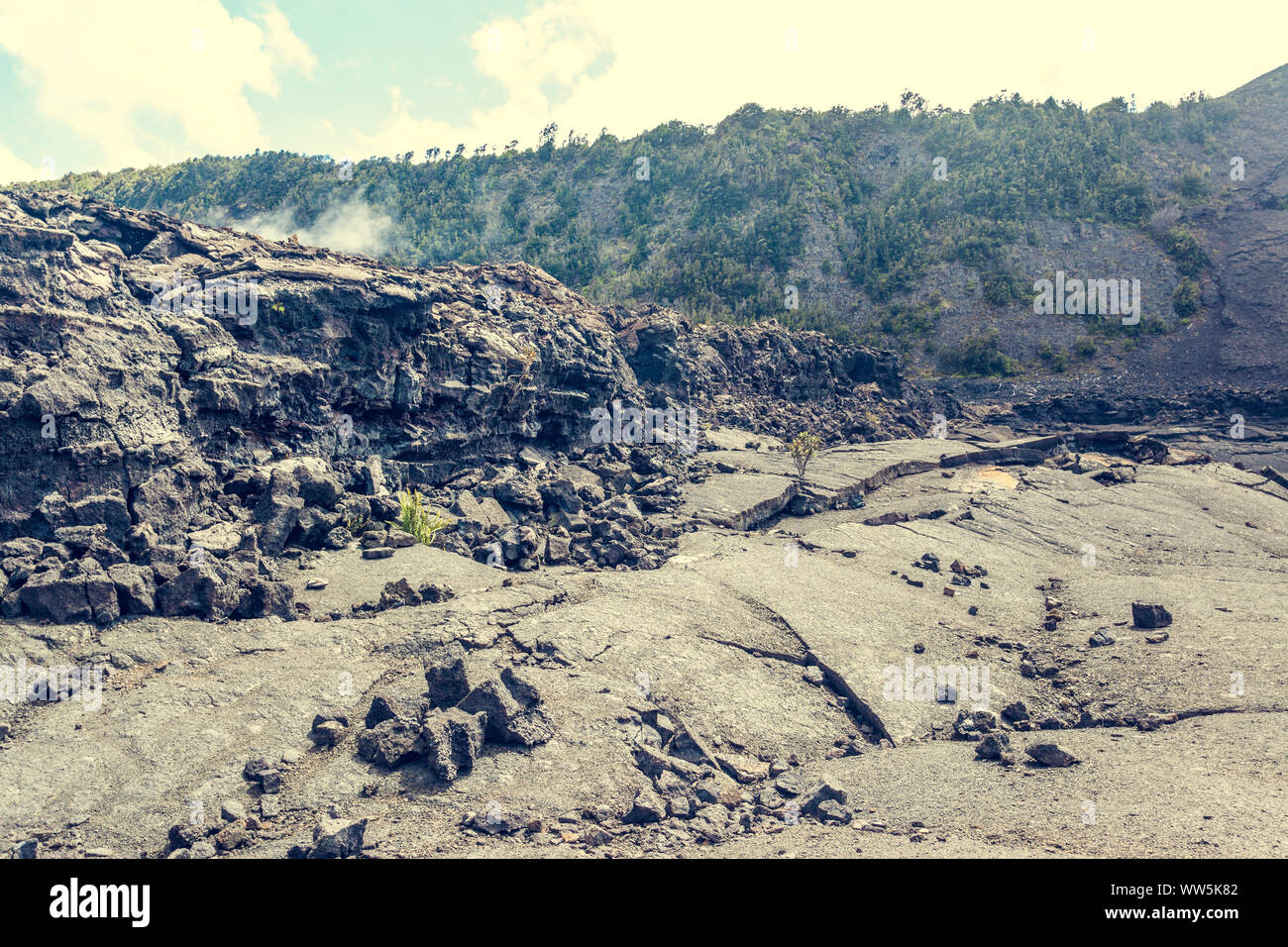 Erstarrter Lava Rock, Volcanoes National Park, Big Island, Hawaii, USA Stockfoto