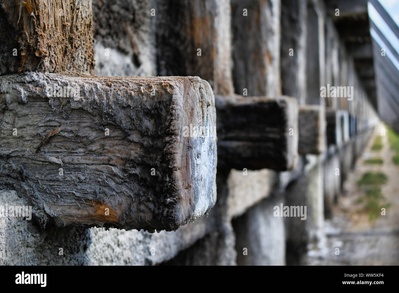 Eine Nahaufnahme eines Salzes Fleck auf Holz - Graduierung Turm Ciechocinek Polen Stockfoto