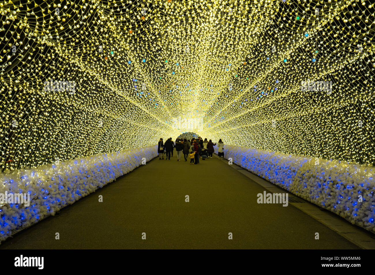 Mie, Japan - 18. Februar 2019: Nabana keine Sato Winter Beleuchtung in Mie in Japan. Stockfoto