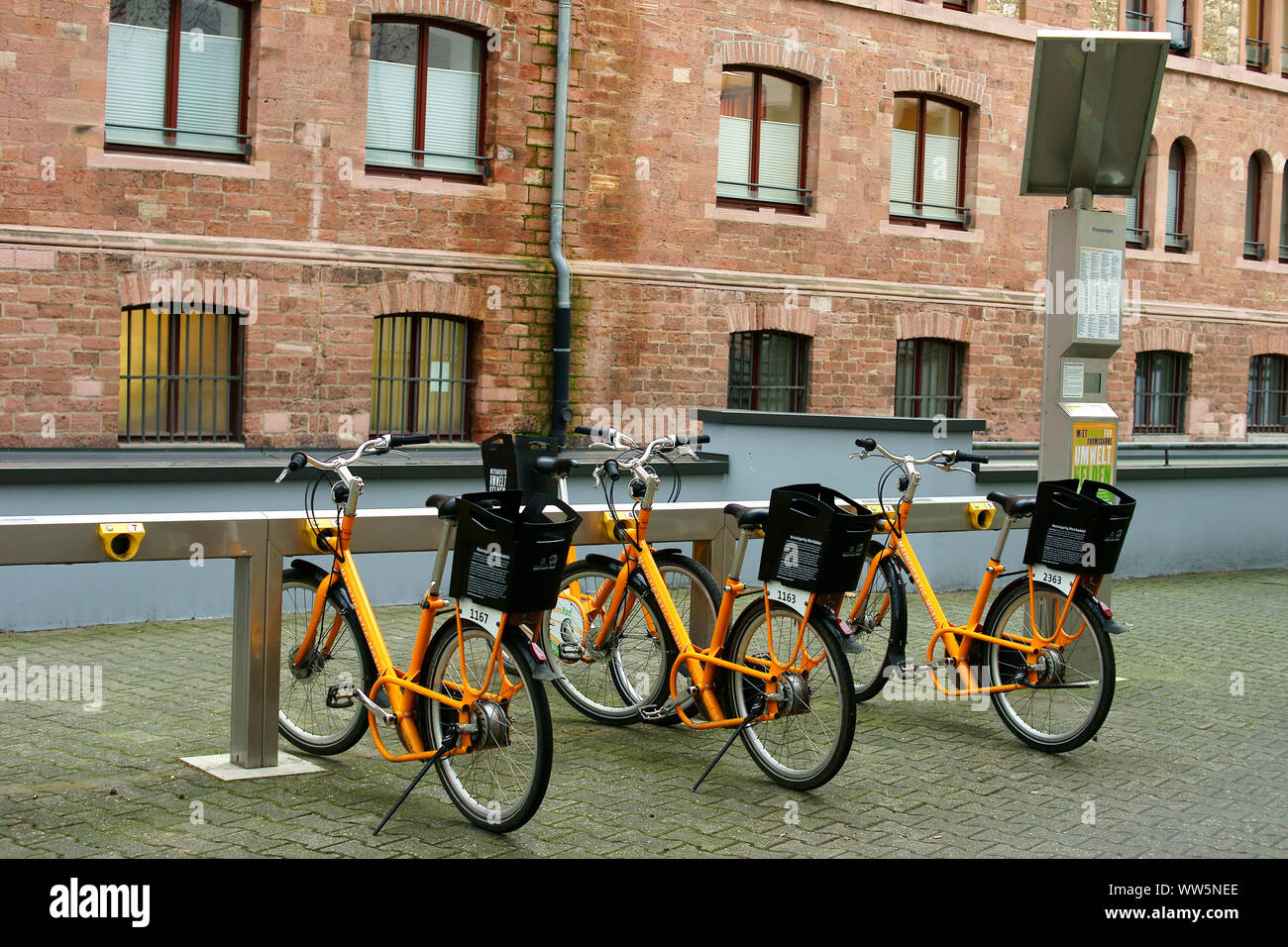 Fahrräder eine nach der anderen an einer Station der "VGmeinRad" des Mainzer Verkehr Firma in Mainz. Stockfoto