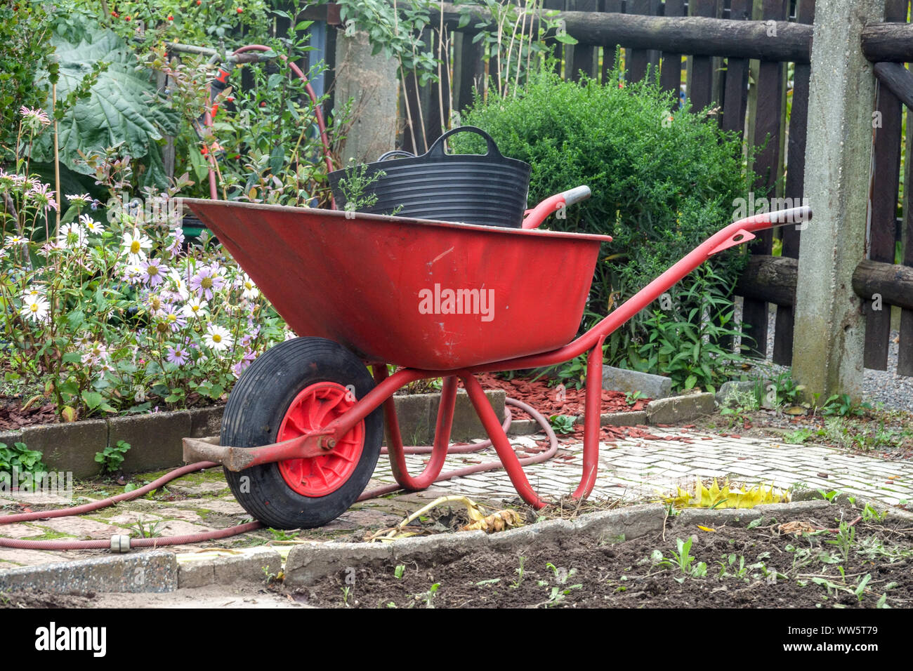 Rote Schubkarre im Garten September Gartenszene Stockfoto