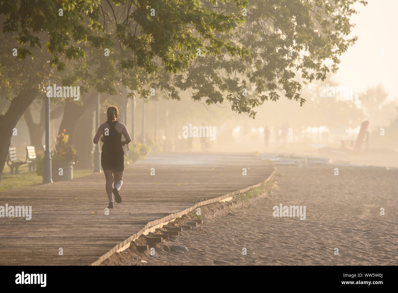 Ein Jogger läuft am Boardwalk an Toronto, Ontario Woodbine Strand an einem nebligen Septembermorgen. Stockfoto
