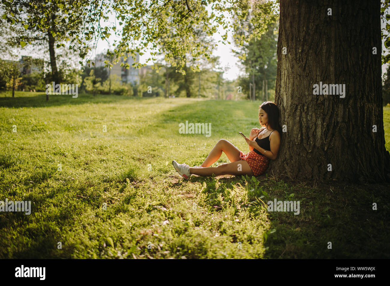 Frau sitzt unter einem Baum auf ihr Mobiltelefon suchen, Serbien Stockfoto