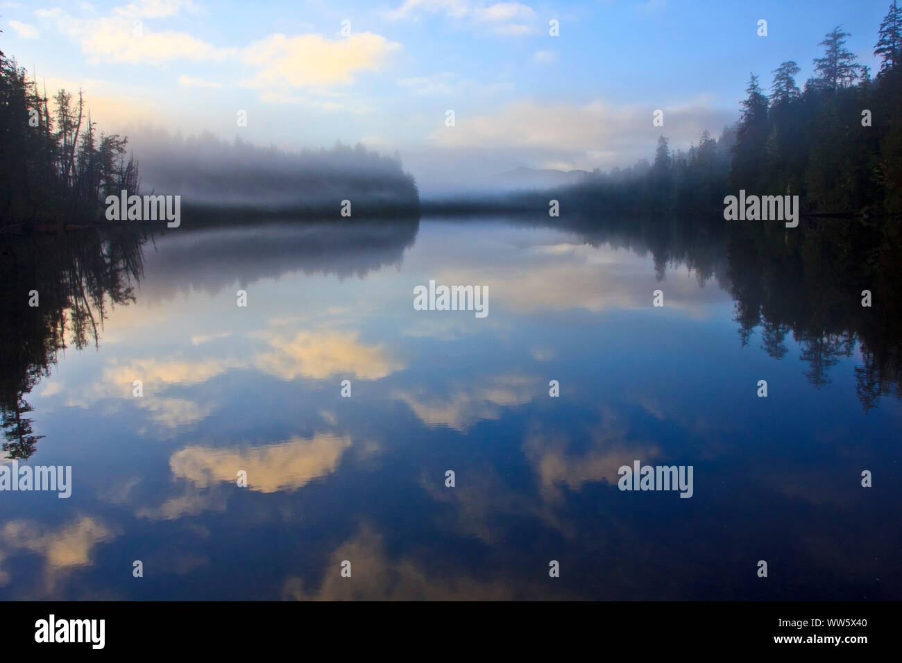 See in Bäumen gesäumten, leicht bergigen Landschaft mit Nebel, in der glatten See der Himmel mit Wolken reflektiert, Cape Scott Provincial Park, British Columbia, Kanada Stockfoto