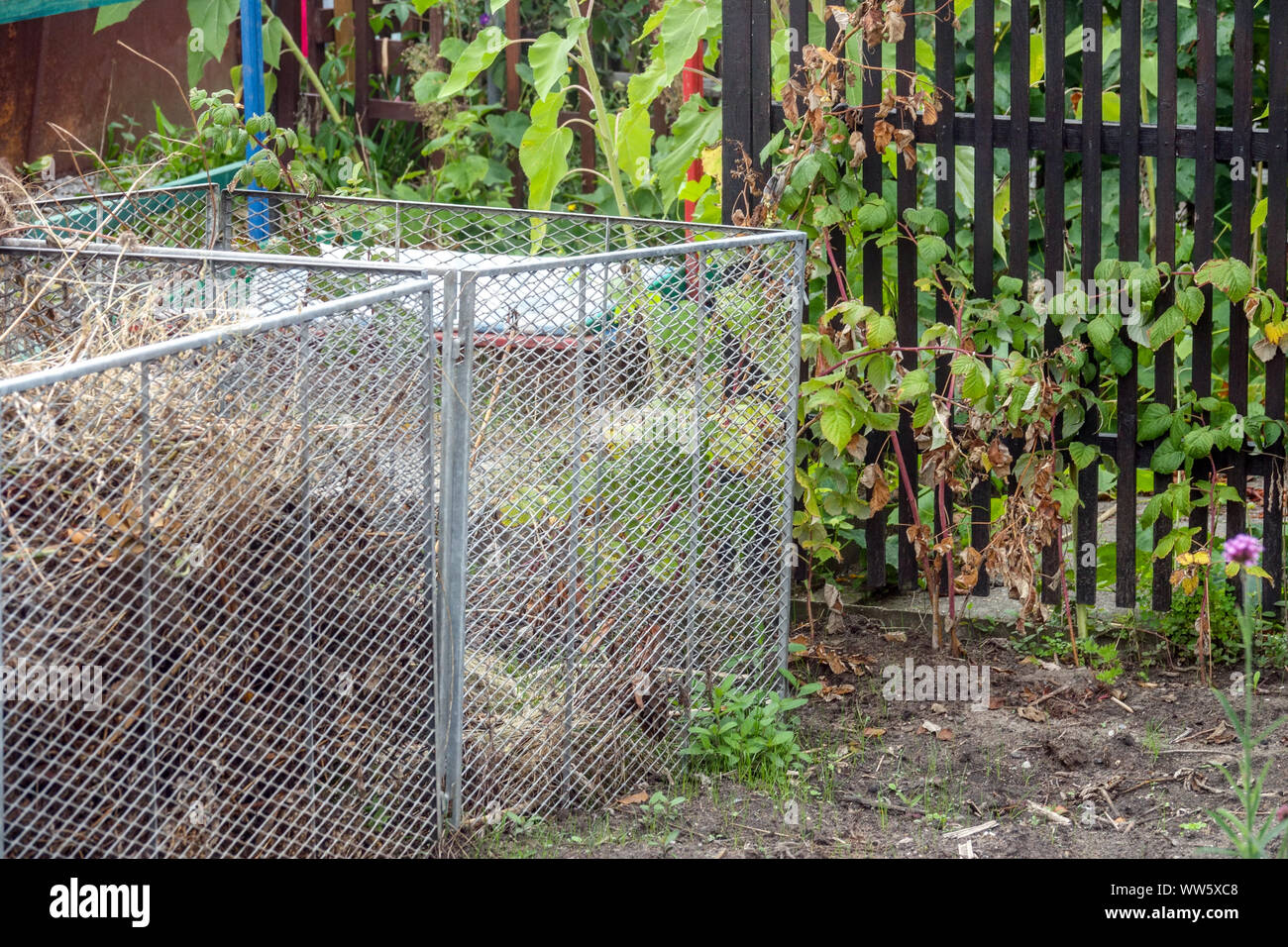 Blätter in Komposteimer Draht Gartenabfälle, Kompostblätter, trockene Stängel, organische Reste Stockfoto