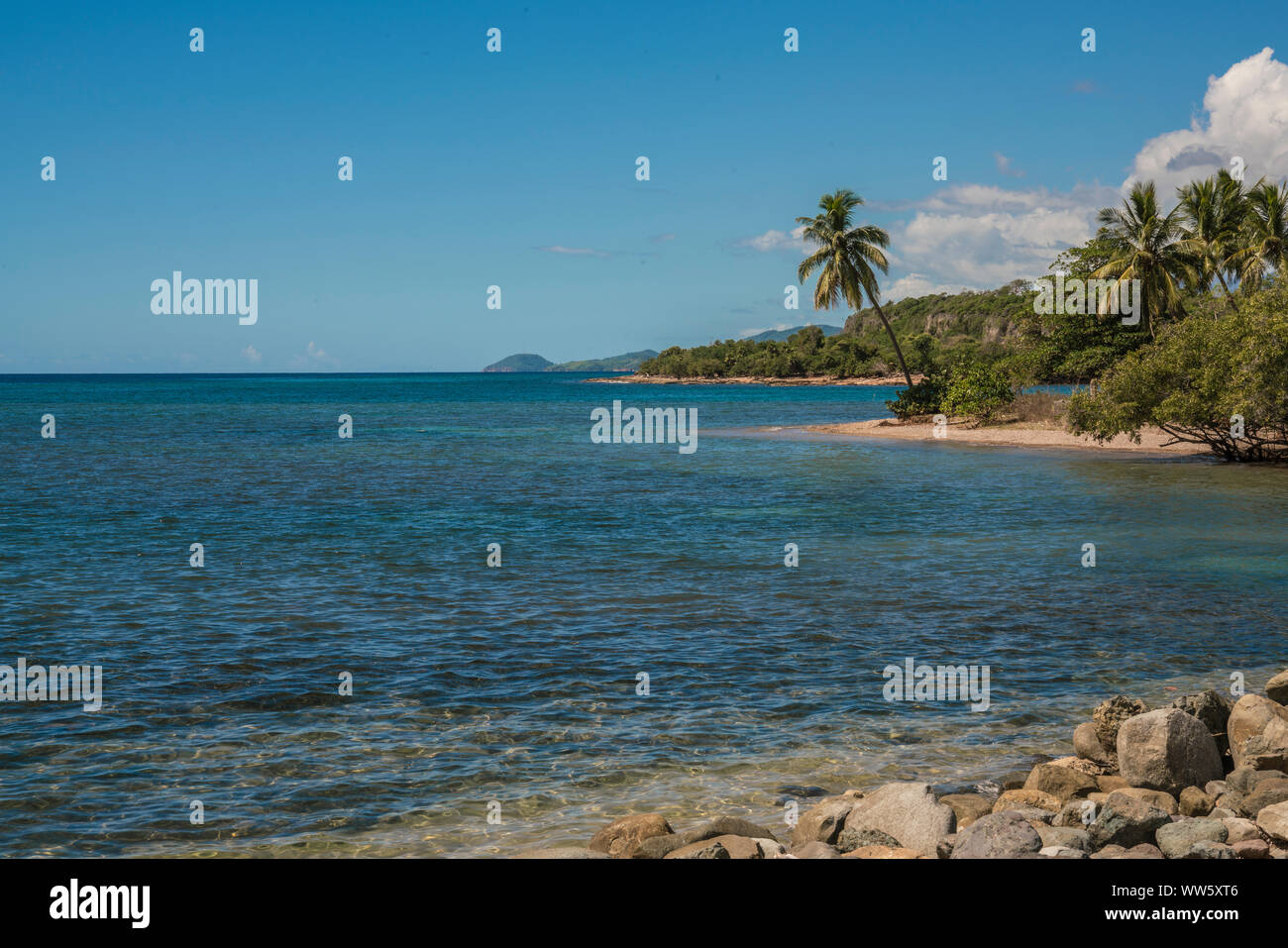 Blaue Meer mit überhängenden Palm, Santiago de Cuba, Kuba Stockfoto