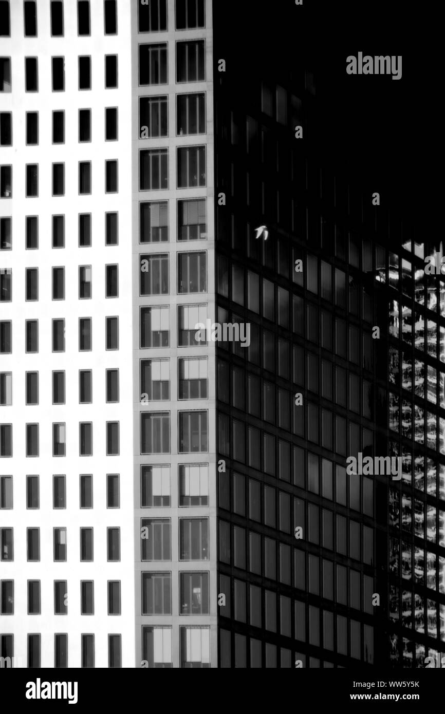 Die moderne Fassade eines Hochhaus mit Reflexionen im Windows. Stockfoto