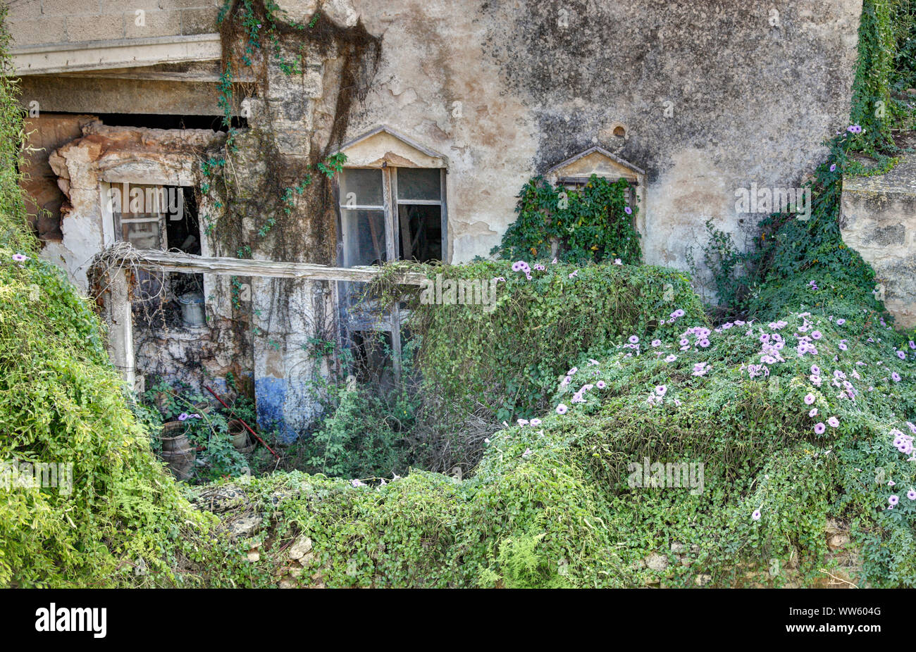 Spanien, Mallorca, AlcÃºdia, Haus, Hinterhof, Kletterpflanzen, Idylle, Lost Place Stockfoto