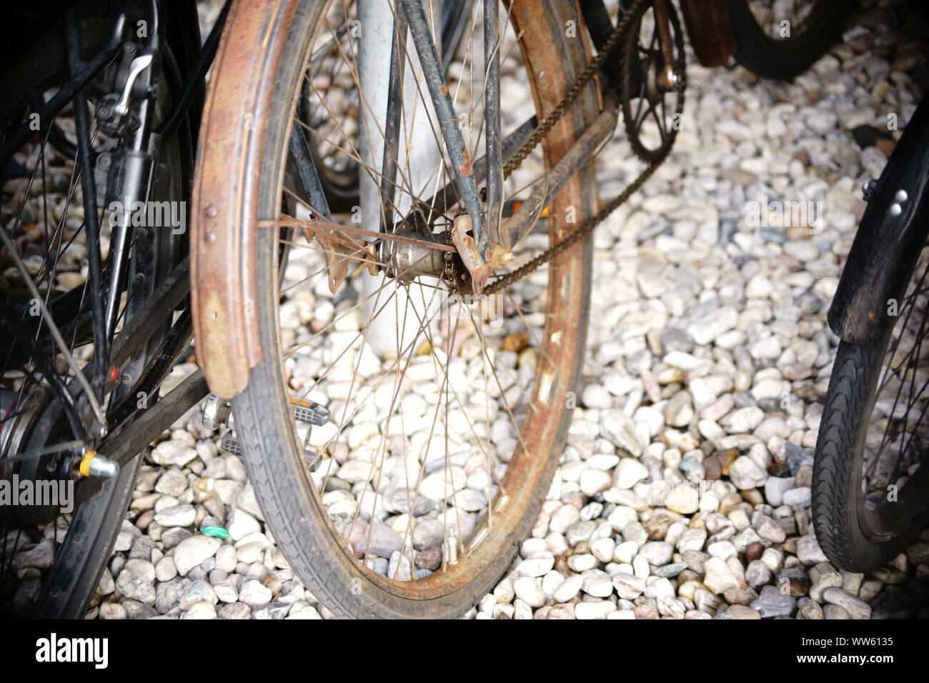 Ein altes Fahrrad hängende Kette und vergessen an einem Zaun, Stockfoto