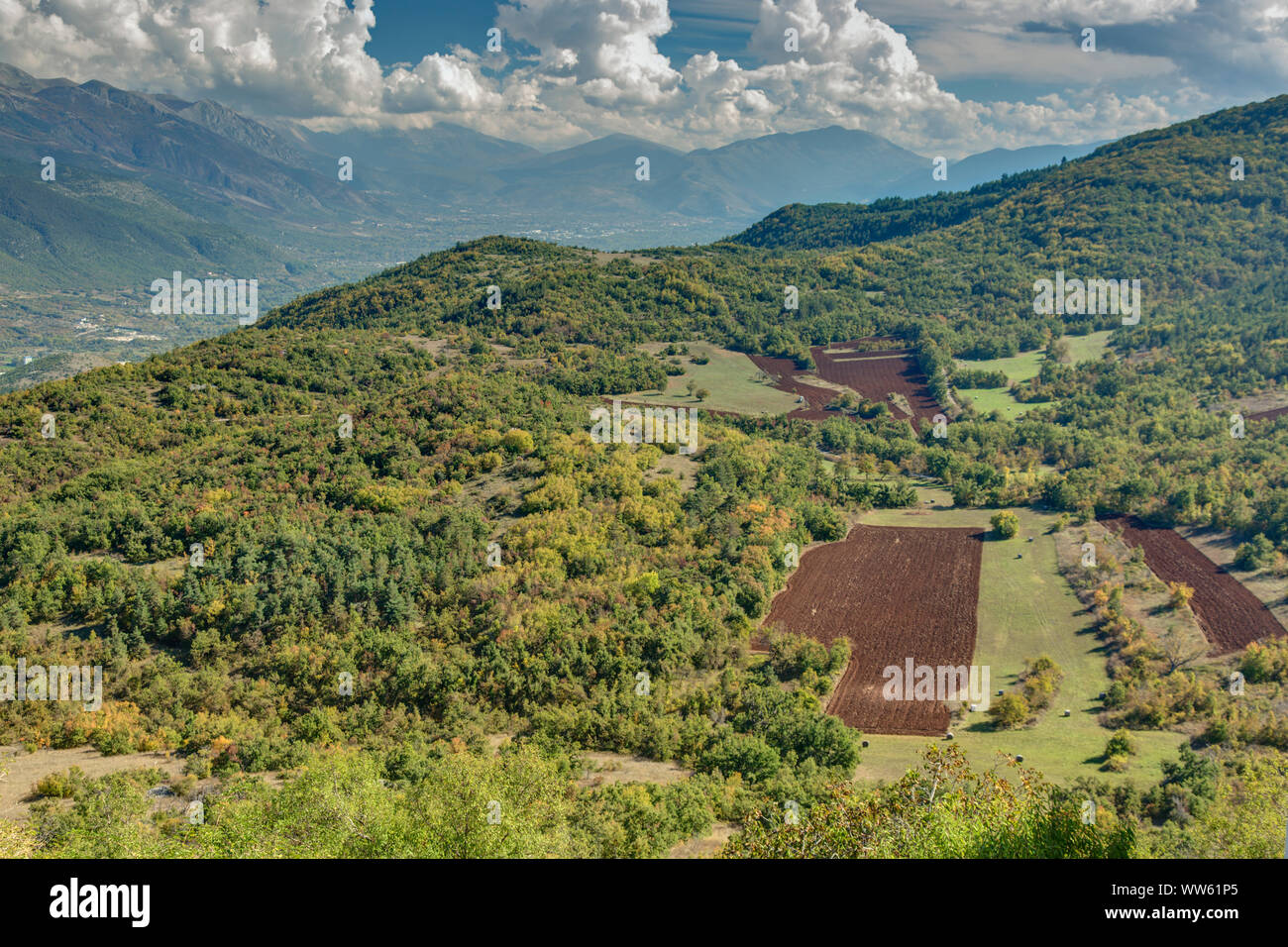 Gepflügte Feld im Wald, Popoli, Italien Stockfoto