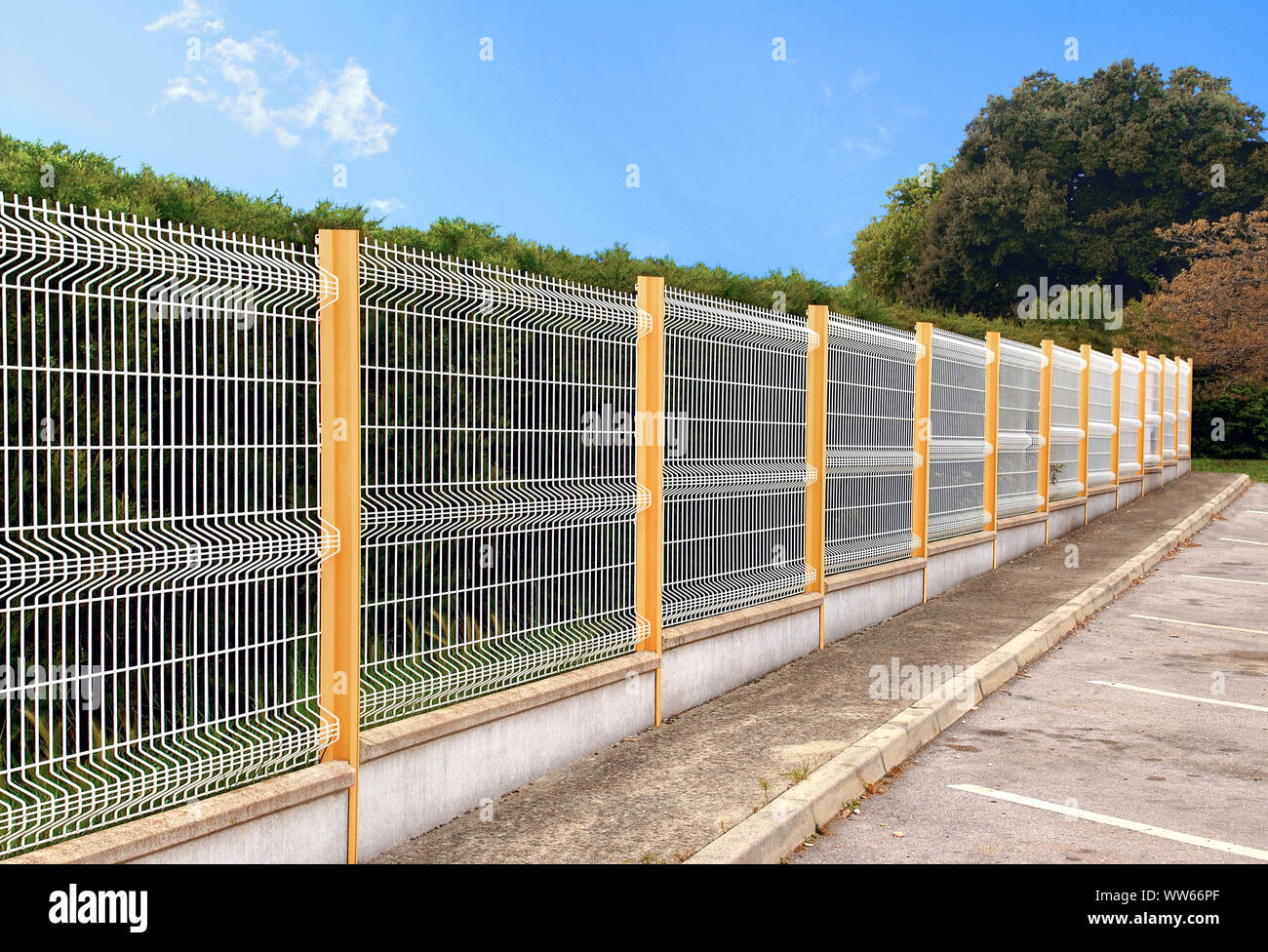 Metallzaun gesäumt mit einer Zeder Hedge. Stockfoto