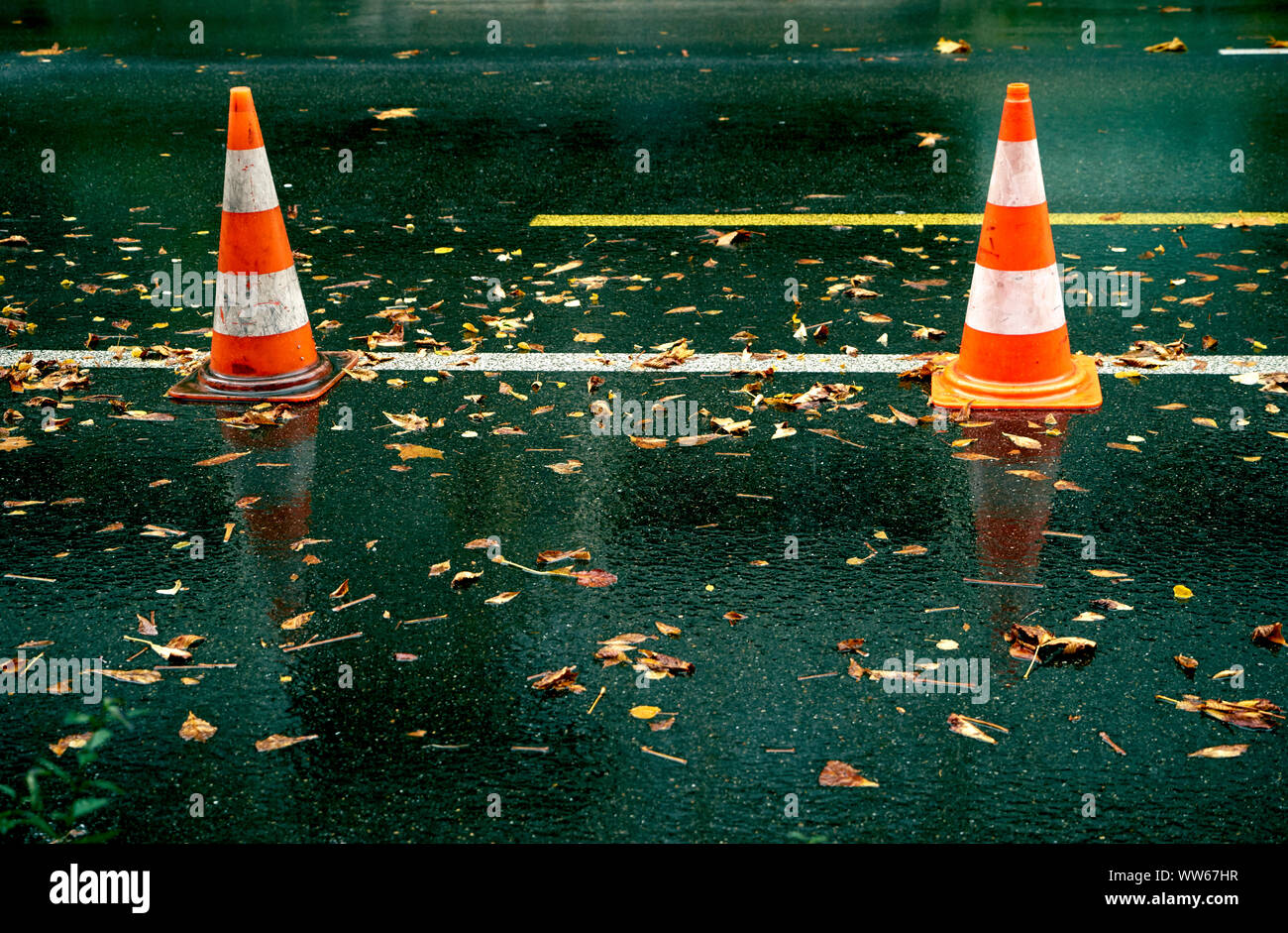 Pylon auf nasser Straße mit Herbstlaub Stockfoto