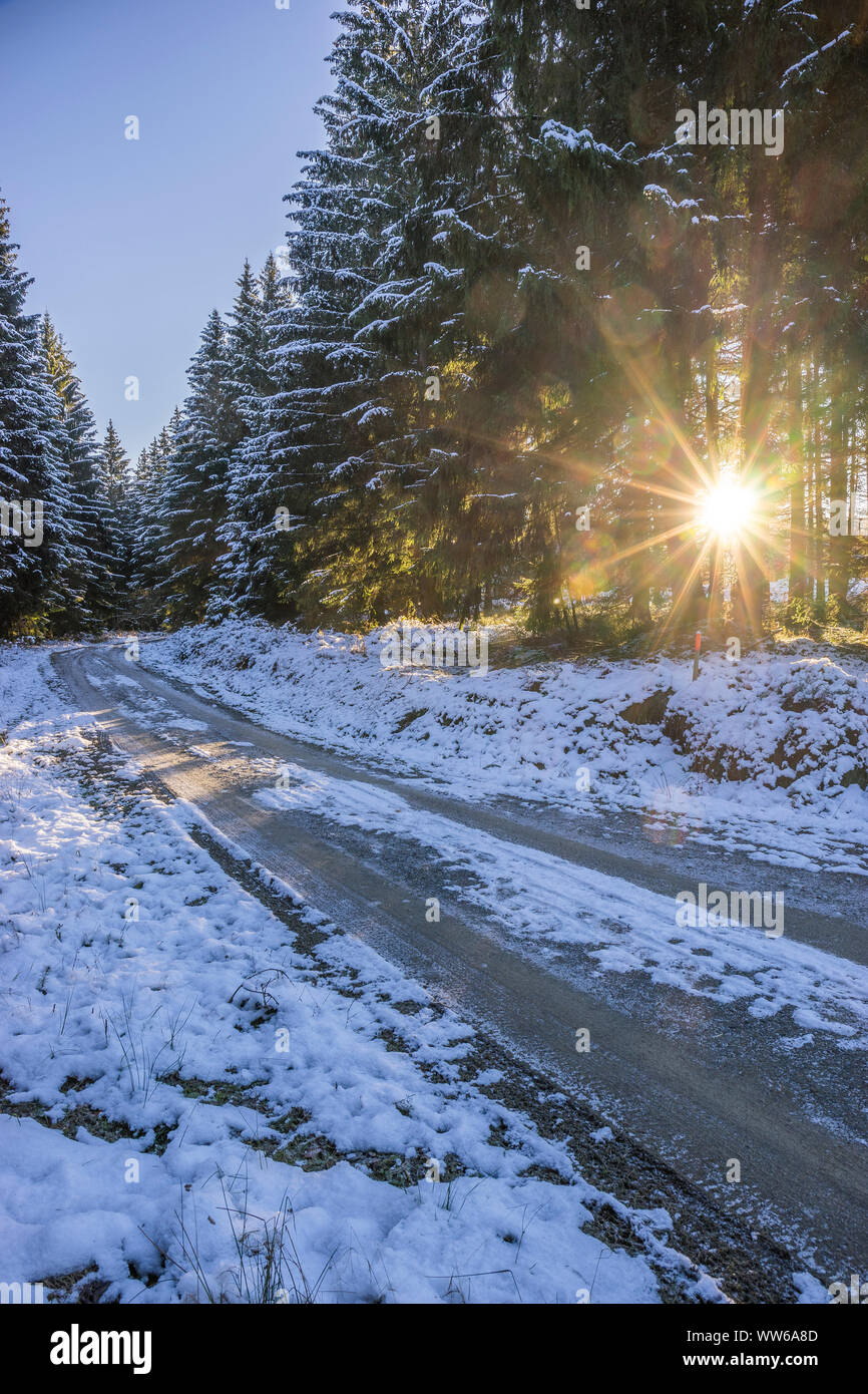 Deutschland, Niedersachsen, Altenau, Wanderweg im verschneiten Naturpark Harz am Morgen Stockfoto