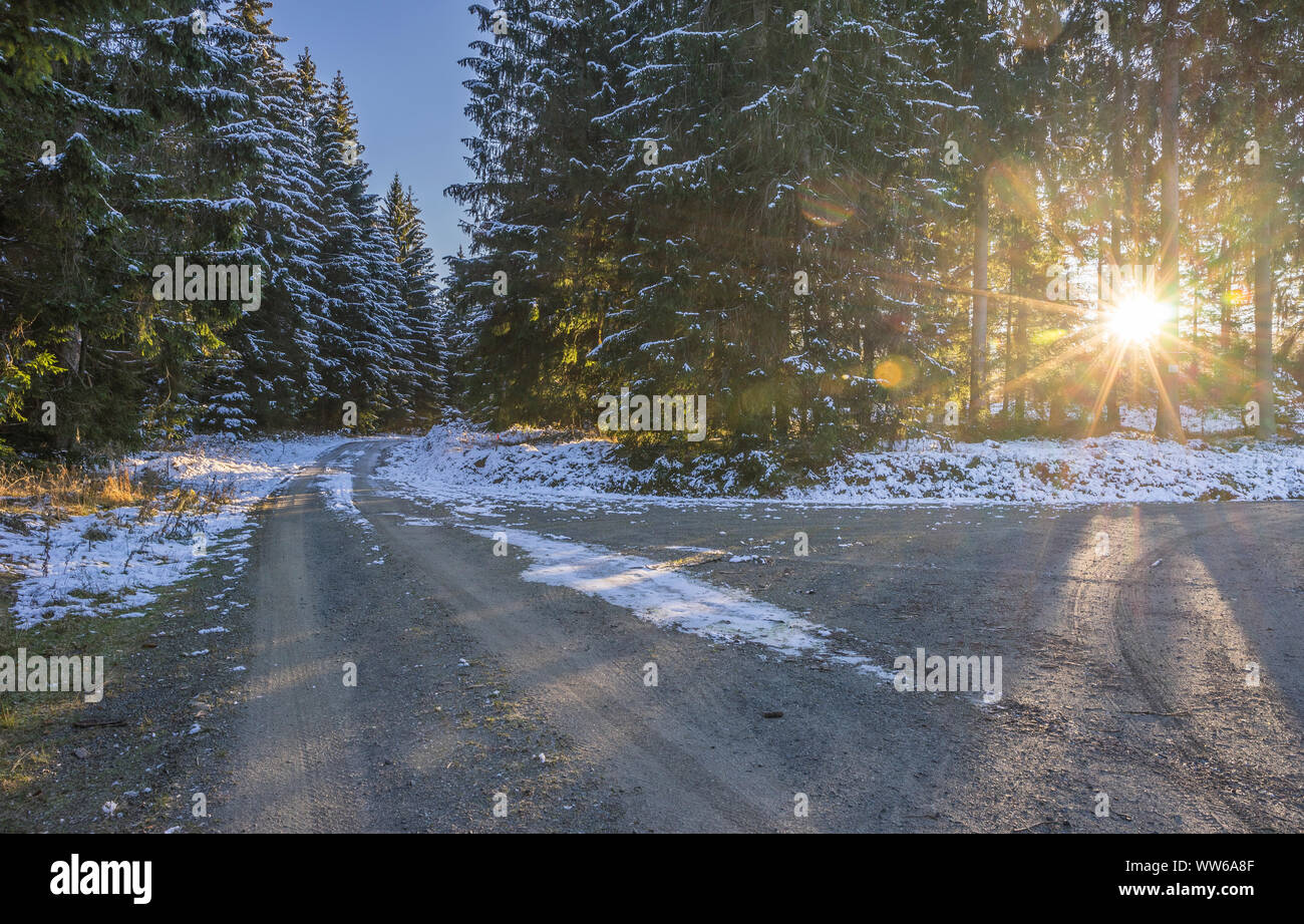 Deutschland, Niedersachsen, Altenau, Wanderweg im verschneiten Naturpark Harz am Morgen Stockfoto