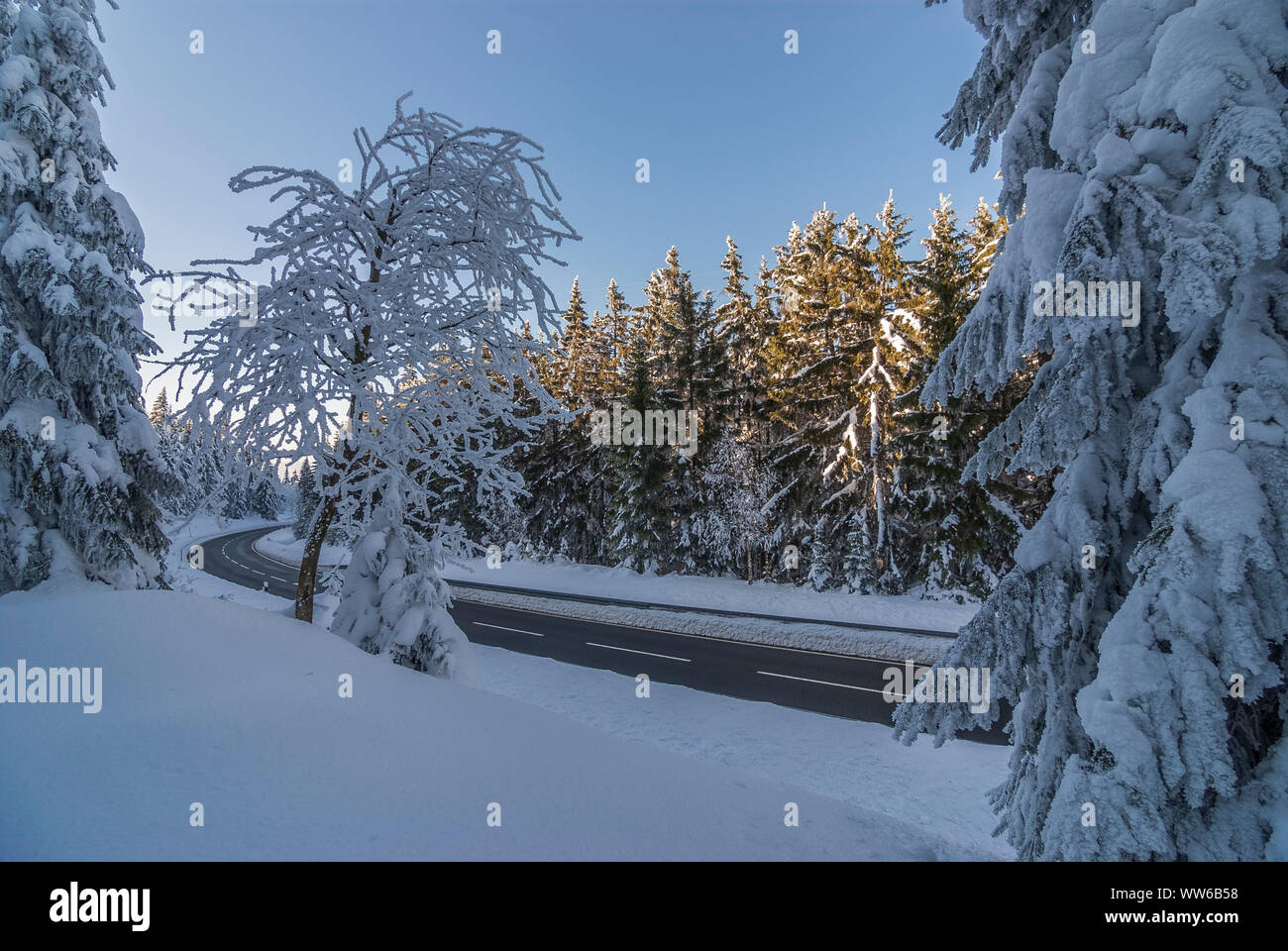 Deutschland, Niedersachsen, Landstraße L504 im Nationalpark Harz Stockfoto