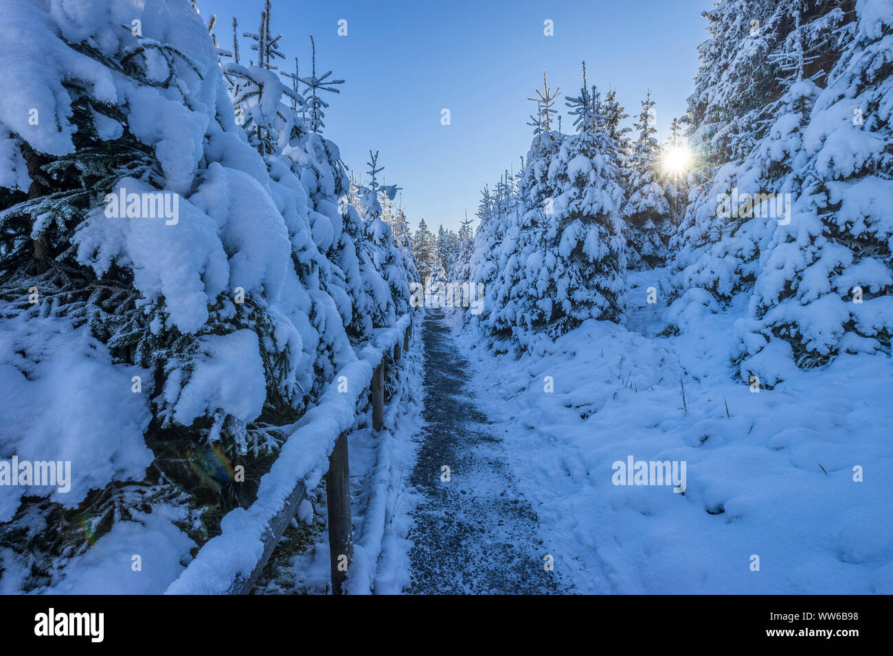 Deutschland, Niedersachsen, Harz National Park, Wanderweg in den verschneiten Nationalpark Harz am Morgen Stockfoto