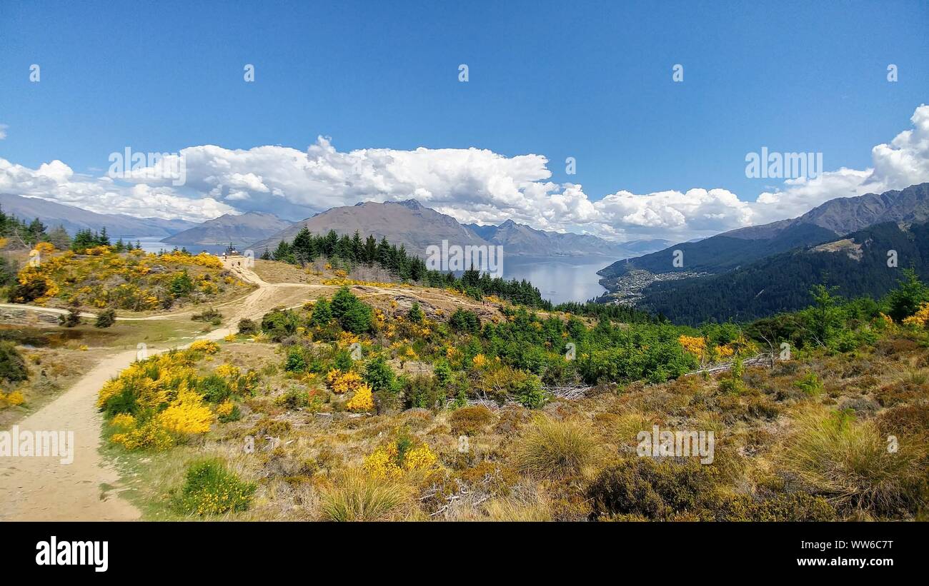 Berge und See am Horizont, mit Wanderwegen und Wald im Vordergrund in Queenstown, Neuseeland Stockfoto