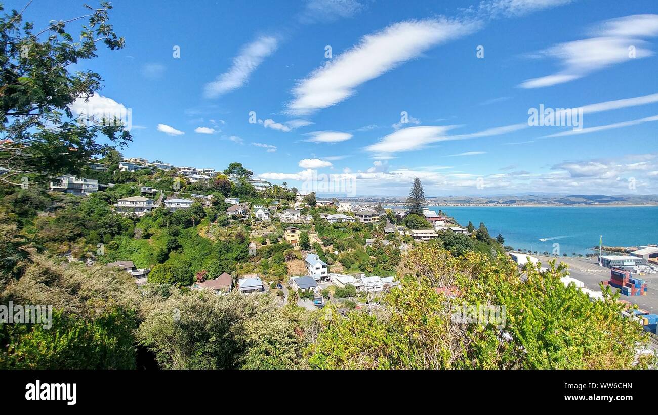 Blick auf die Häuser auf einem Hügel zwischen Büschen und Bäumen, mit Blick auf das Meer im Hintergrund von der Aussperrung Bluff Hill in Napier, Neuseeland Stockfoto