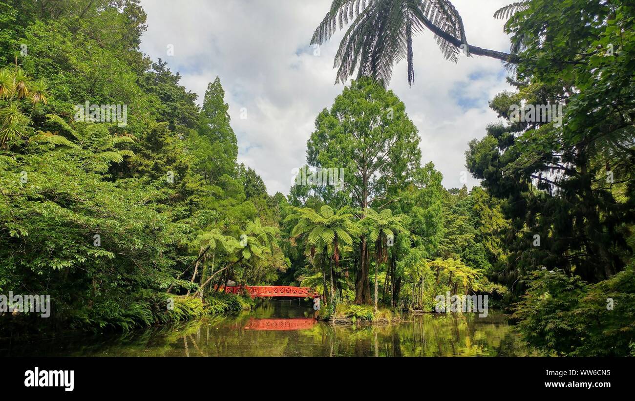 Rote Brücke über einem See im Wald, Neuseeland Stockfoto