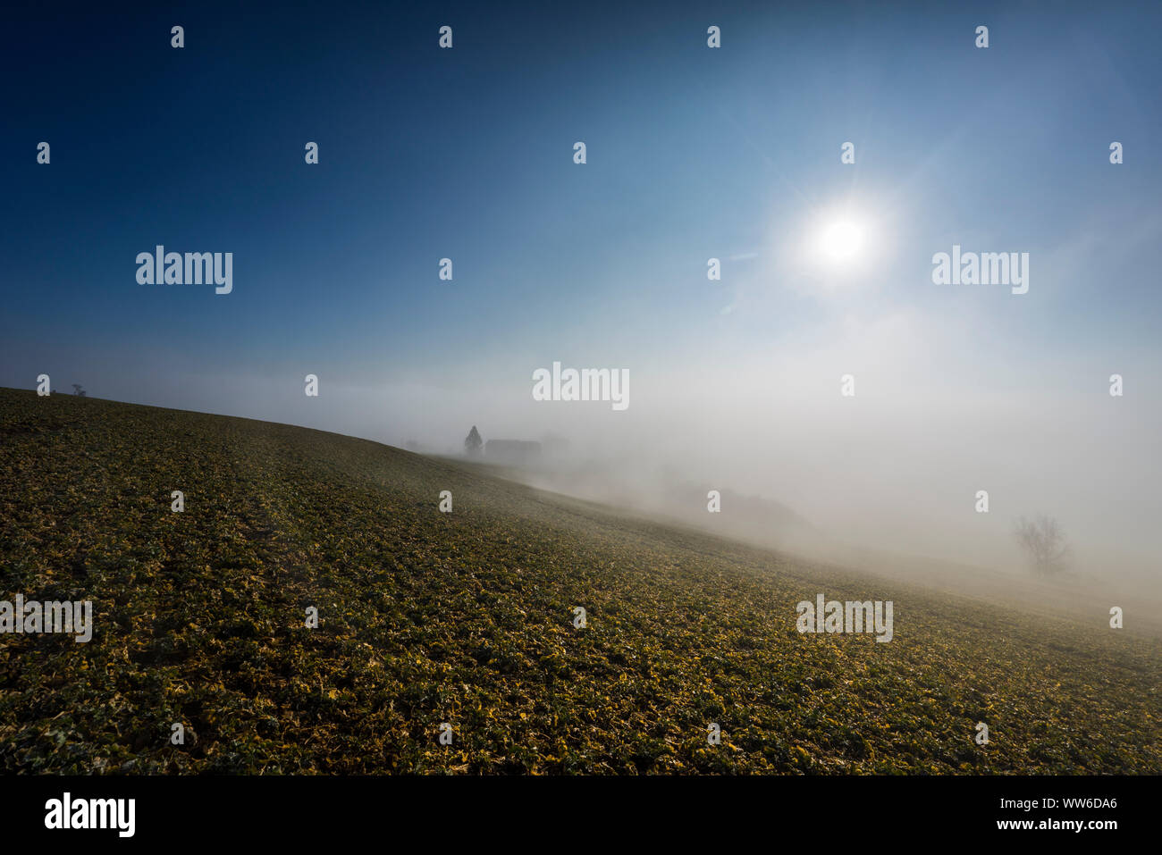 Sunrise und reflektierenden farbigen Wolken, Rising Sun mit austretende Nebel Stockfoto