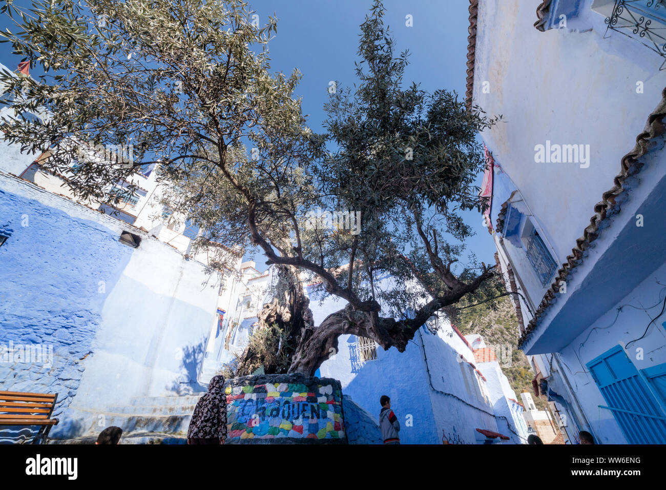 Dorfplatz in einem blauen Gasse in Tanger, Marokko, Nordafrika, Afrika Stockfoto