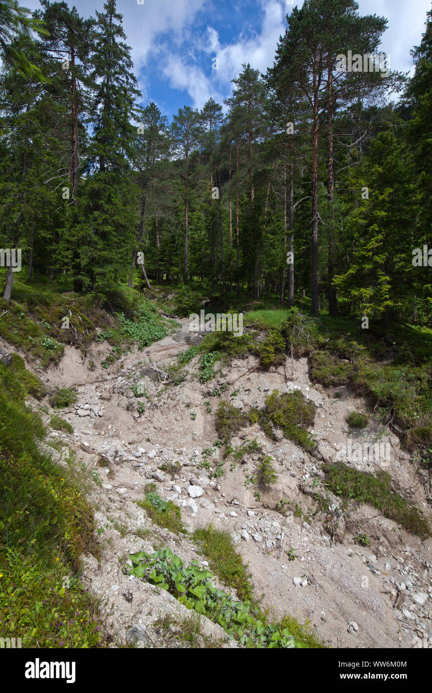 Bachbett durch starke Niederschläge im Bergwald erodiert Stockfoto