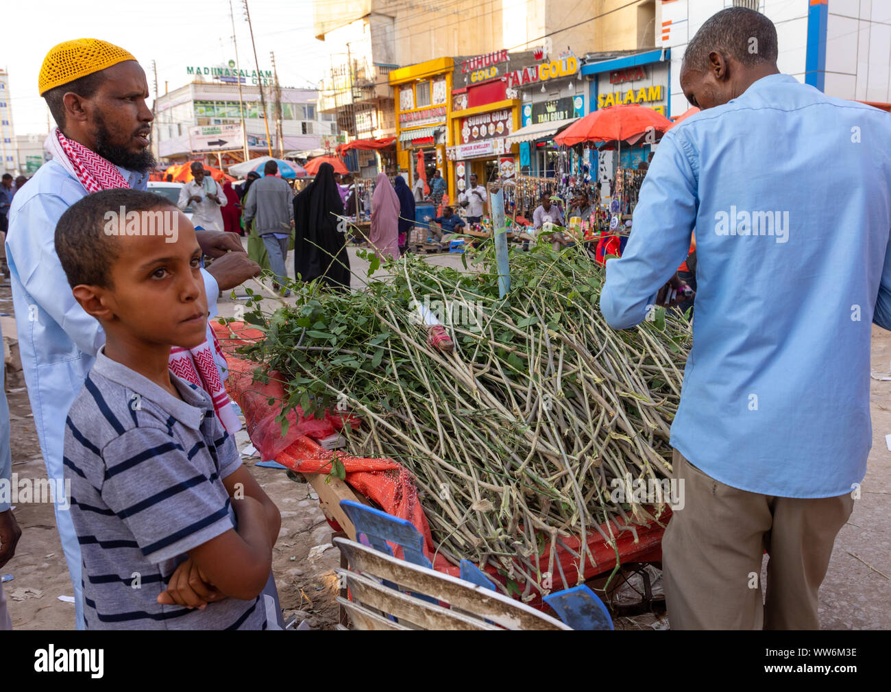 Die somalische Mann verkaufen natürliche Zahnbürsten in der Straße, Woqooyi Galbeed region, Hargeisa, Somaliland Stockfoto