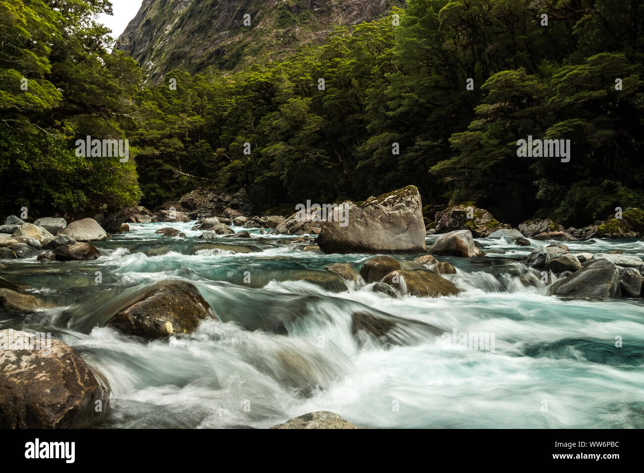 Steinigen Bach in Neuseeland in der Nähe von Milford Sound Stockfoto