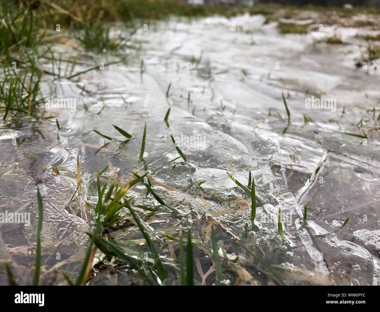 Gefrorenen Pfütze auf einer Wiese/Feld in Eifel, Deutschland mit gefrorenem Gras Stockfoto