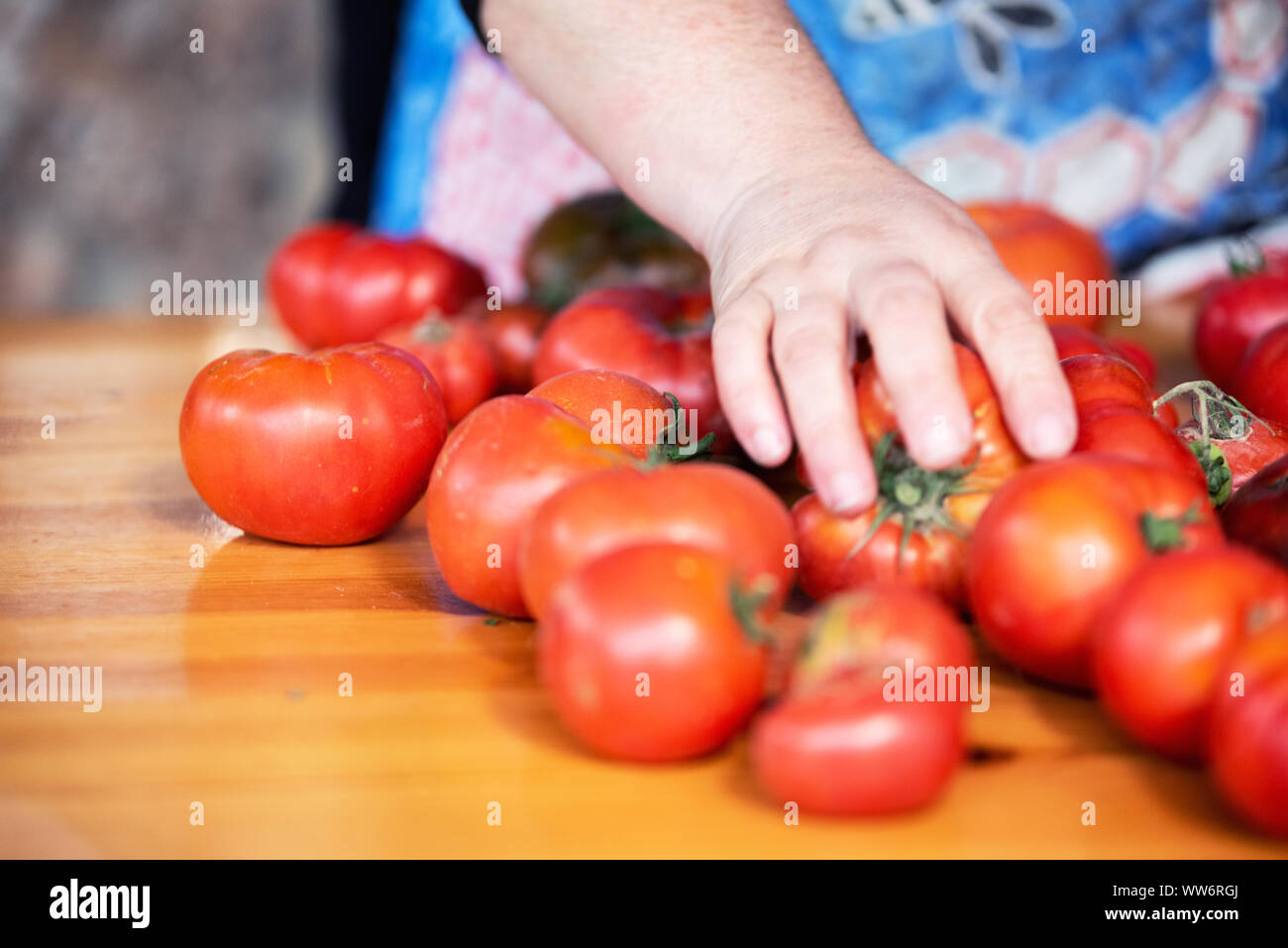 Schließen Sie herauf die Frau hand Auswählen Tomaten im ländlichen Markt. Stockfoto