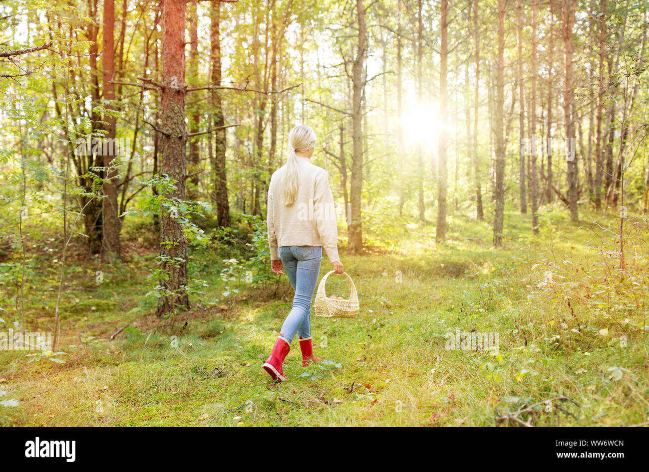 Junge Frau Pilze im Herbst Wald Stockfoto