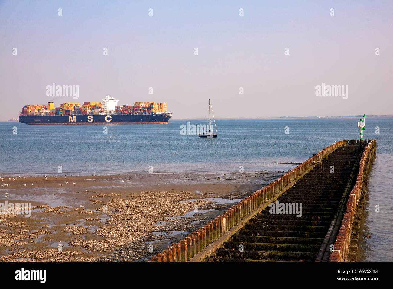 Containerschiff auf der Westerschelde vor der Küste von Vlissingen, Walcheren, Zeeland, Niederlande. Containerschiff auf der Westerschelde vor Vlissin Stockfoto