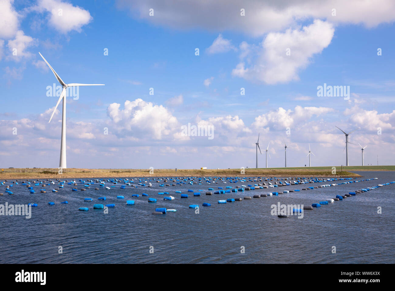 Grevelinger Meer Stockfotos Und Bilder Kaufen Alamy