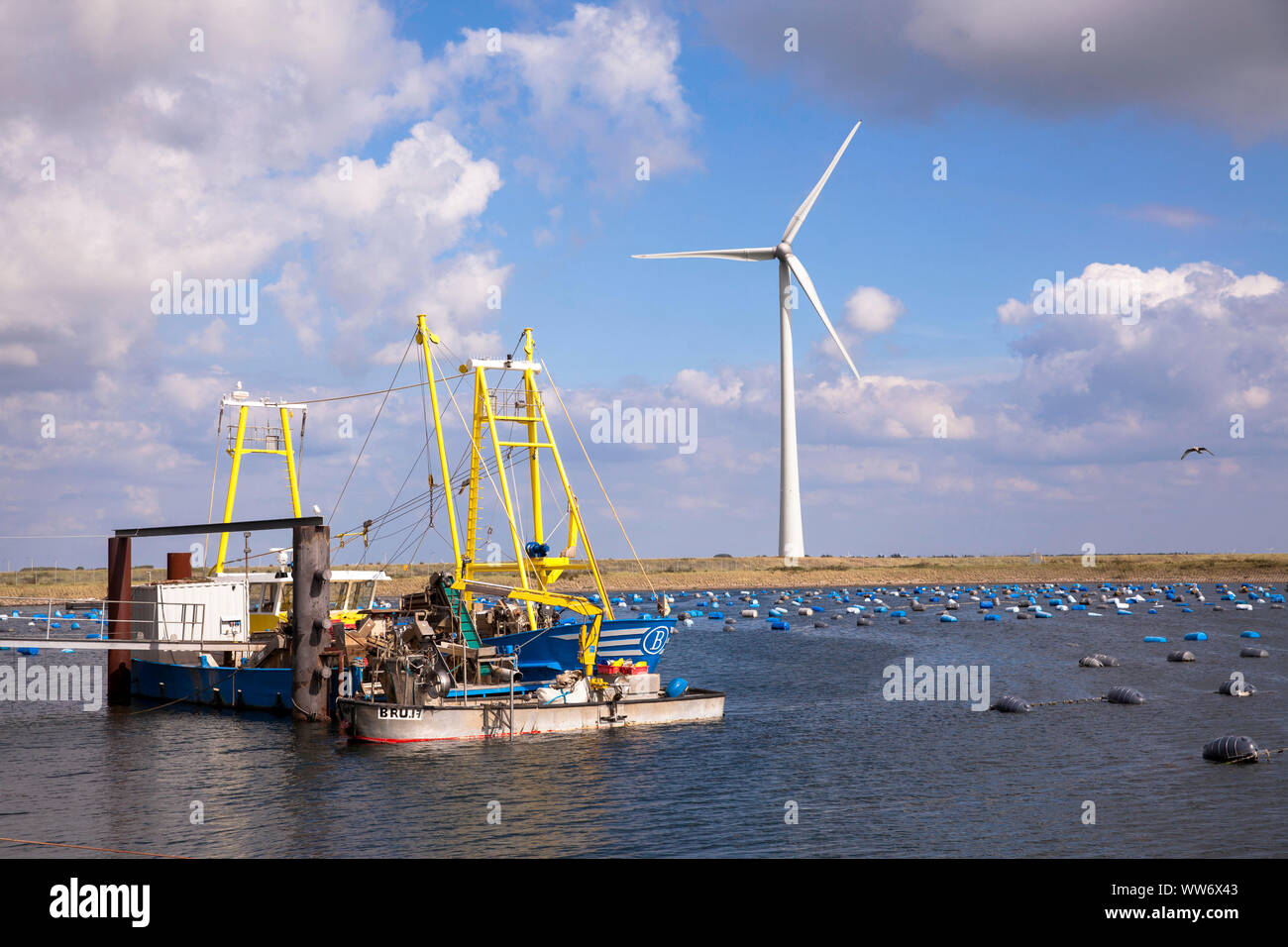 Shell Zucht- und Windmühlen am Grevelingenmeer in der Nähe von Bruinisse, Schouwen-Duiveland, Zeeland, Niederlande. Muschelzucht und Windraeder am Grevelingen Stockfoto