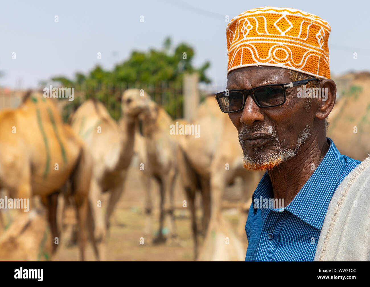 Die somalische Mann in der Kamelmarkt, Woqooyi Galbeed region, Hargeisa, Somaliland Stockfoto