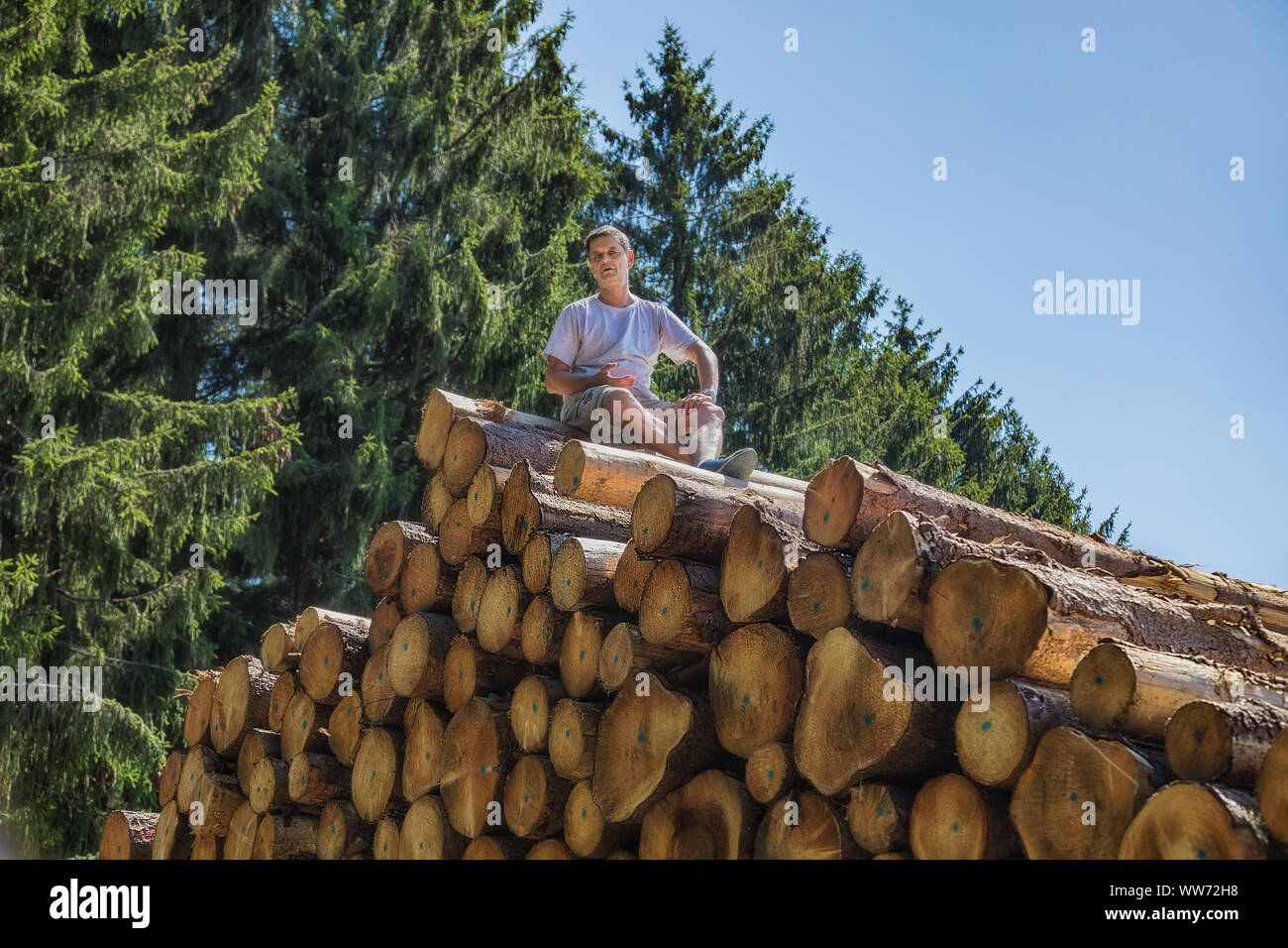 Ein Mann sitzt auf einem riesigen Haufen von Holz. Stockfoto