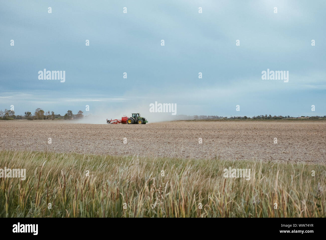 Der Besuch eines Stieres und Horse Farm in der Camargue, Frankreich Stockfoto