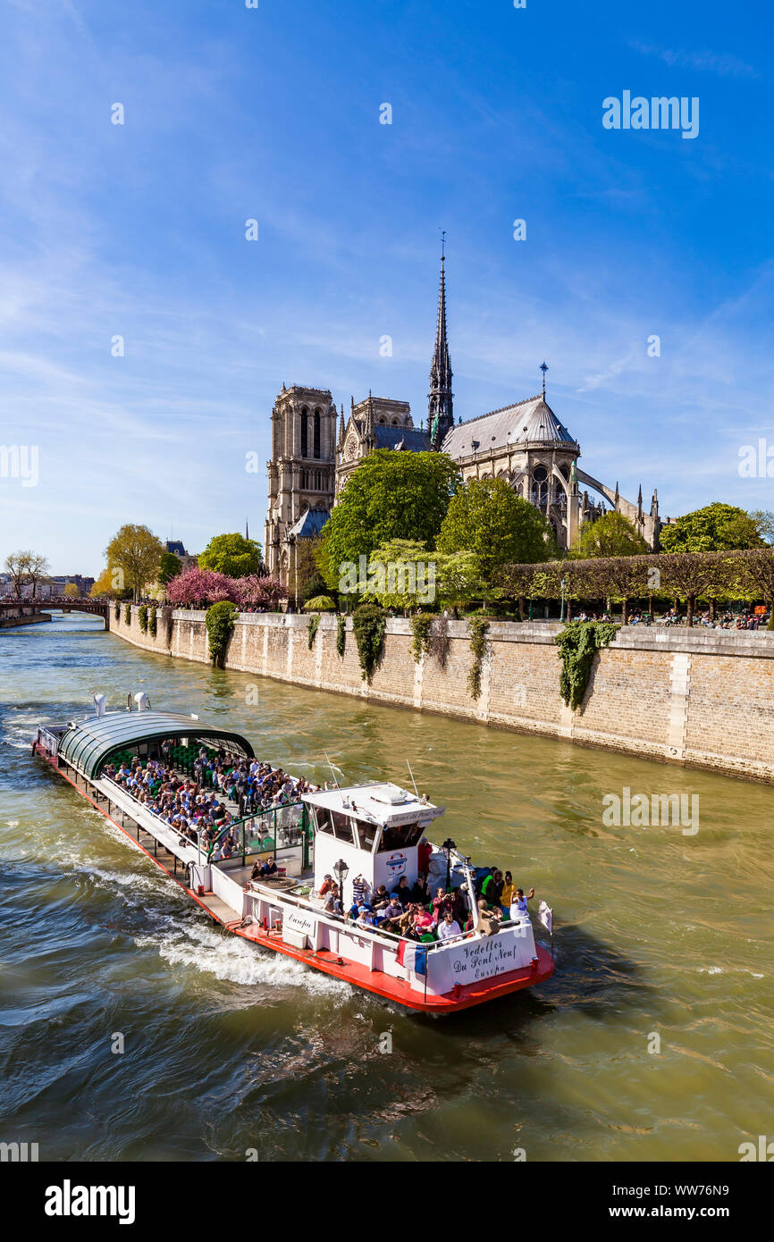 Frankreich, Paris, regionalrats de la Cité, Kathedrale Notre-Dame, tour Boot auf dem Fluss Seine Stockfoto
