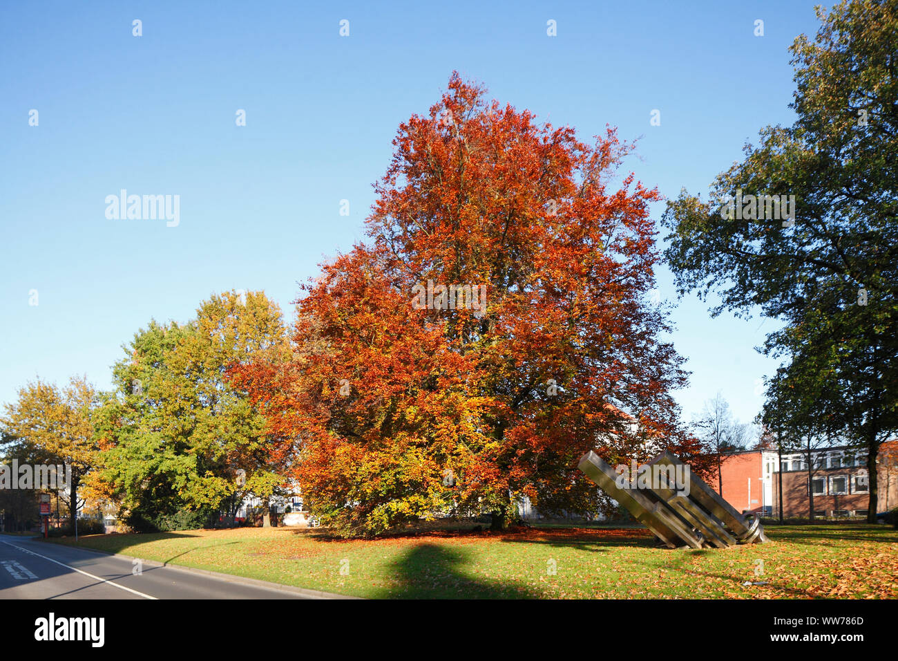 Oldenburg park Fotos und Bildmaterial in hoher Auflösung Alamy