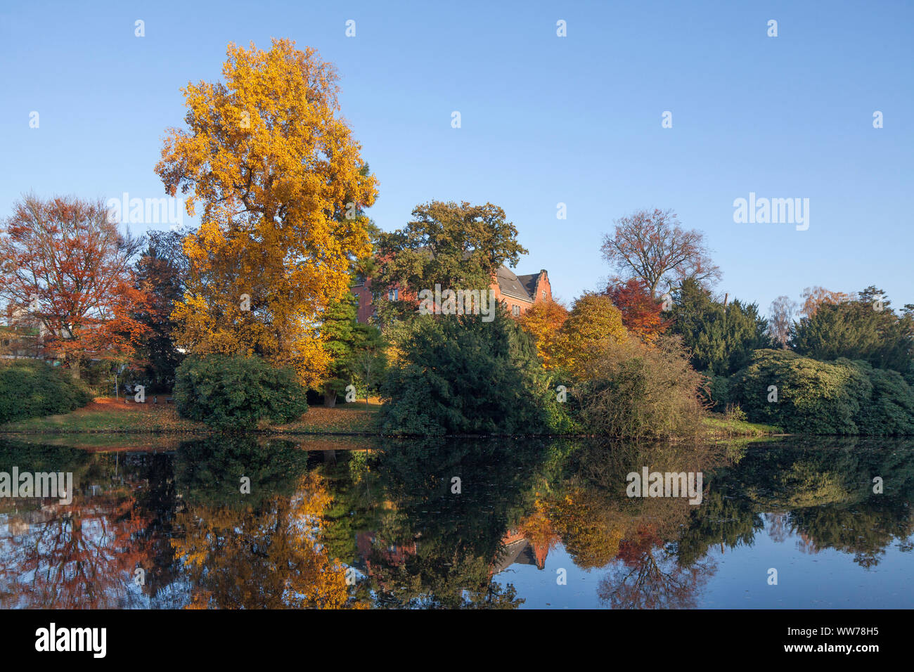 Elisabeth anna palais Fotos und Bildmaterial in hoher Auflösung Alamy