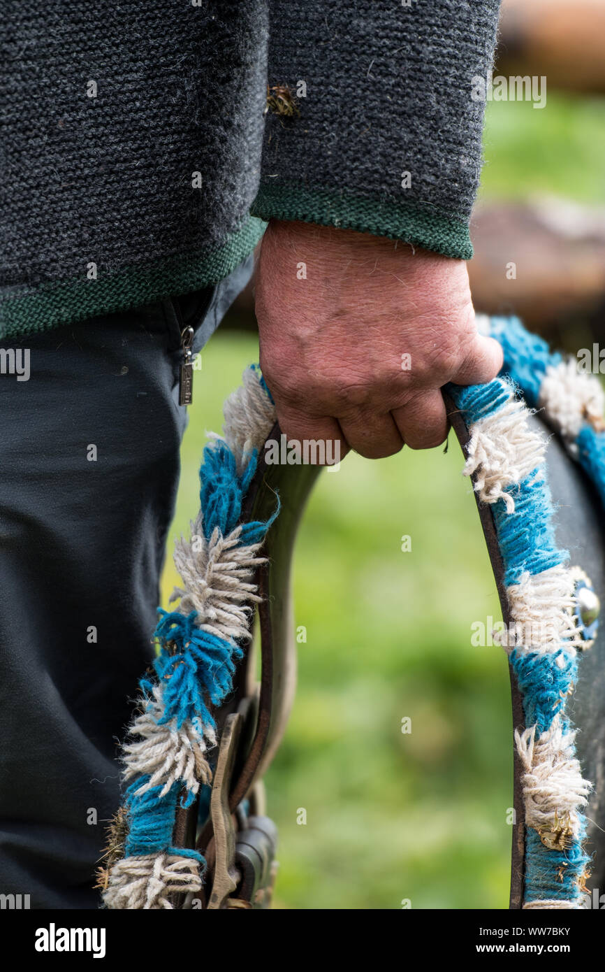 Viehscheid' nach dem Almabtrieb (zeremonielle Fahren hinunter von Rindern von der Alm ins Tal im Herbst) im Spätsommer in Bayern, Landwirt trägt Leder Halsband einer Kuh Glocke Stockfoto