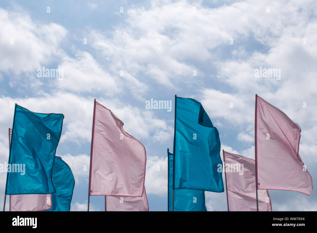 Rosa und Blaue Fahnen in den Wind gegen einen blauen bewölkten Himmel schlägt das Konzept des männlichen, weiblichen und cisgender. Stockfoto
