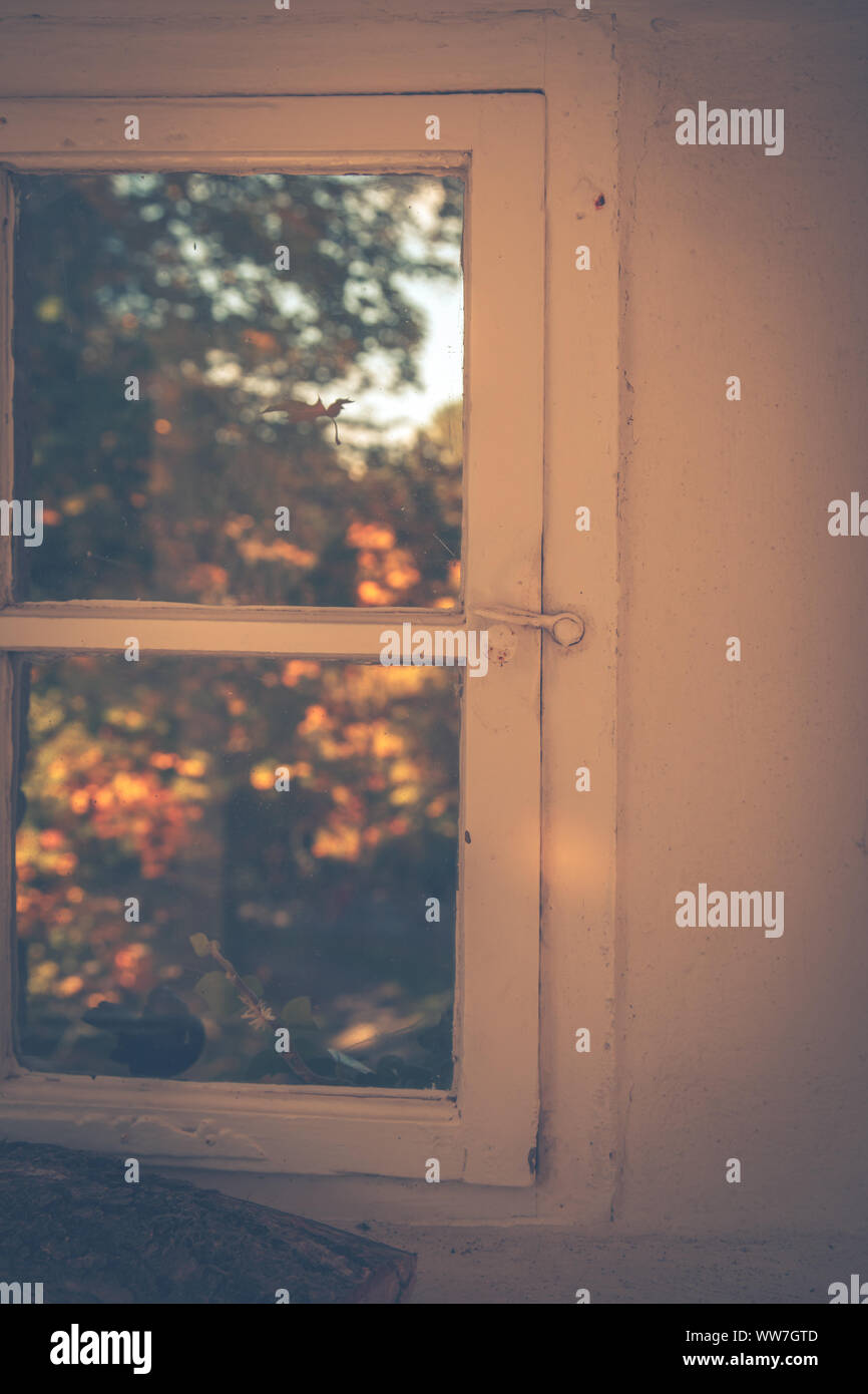 Ein Fenster, mit Blick in die warmen Herbst Stockfoto
