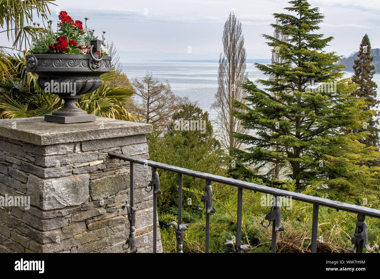 Deutschland, Baden-Württemberg, Bodensee, Bodensee, Insel Mainau, Blick von der mediterranen Terrasse auf der Mainau blumeninsel am Bodensee im Frühjahr Stockfoto
