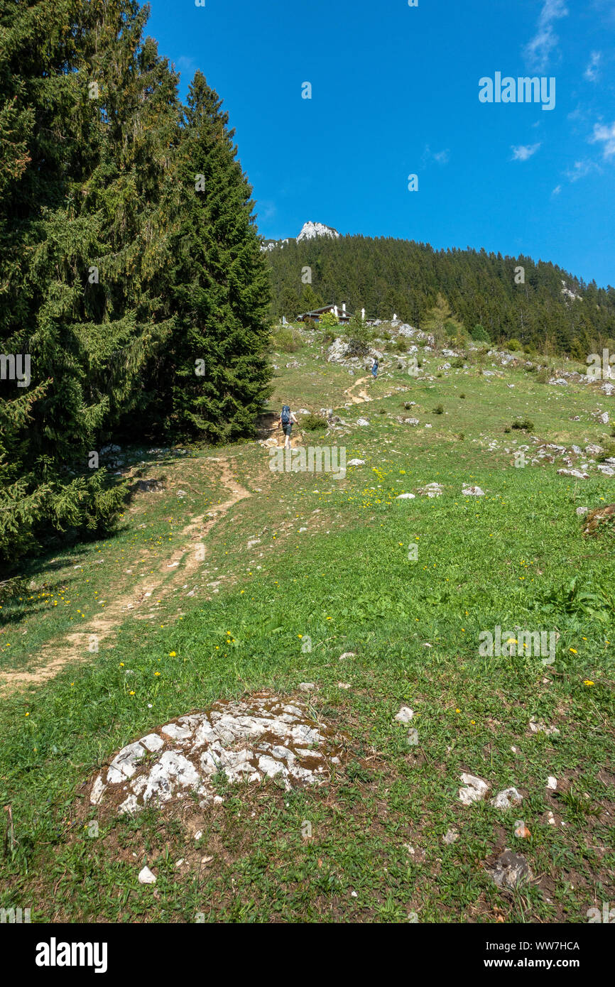 Österreich, Tirol, Kufstein, Kaisergebirge, schließen Aufstieg zur VorderkaiserfeldenhÃ¼tte im Kaisergebirge Stockfoto