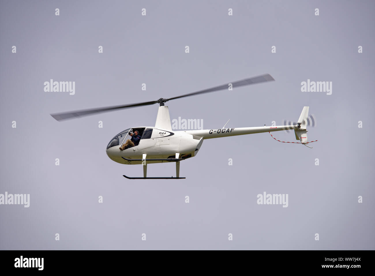 Fotograf saß in der offenen Tür des Robinson R44 G-OLAF Leichter Hubschrauber photograping bei der RIAT Stockfoto