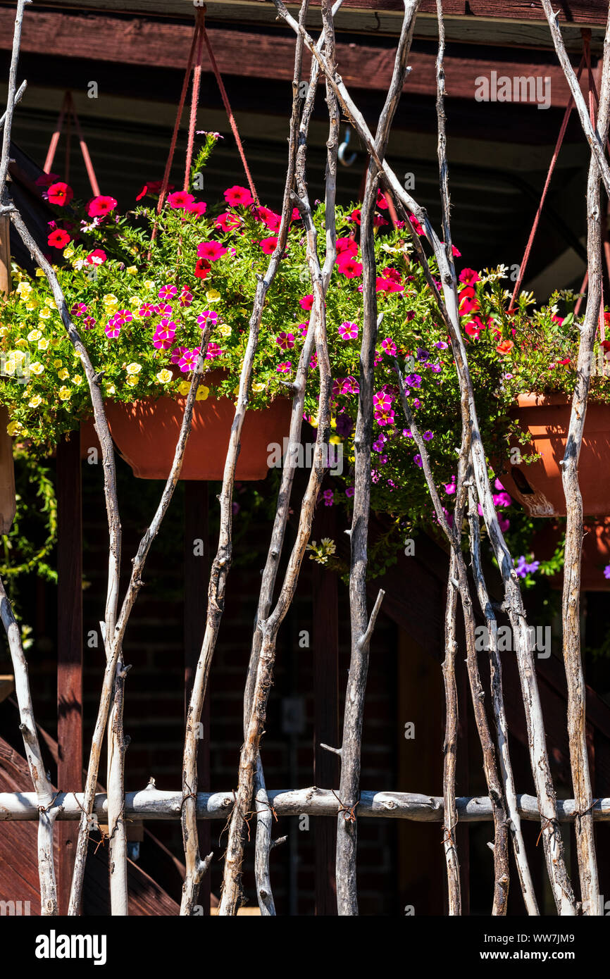 Rauen Holzstäbchen schaffen einzigartige natürliche rustikale Zaun; hängenden Blumenkörben; 114 Ost 1 St.; Salida, Colorado, USA Stockfoto