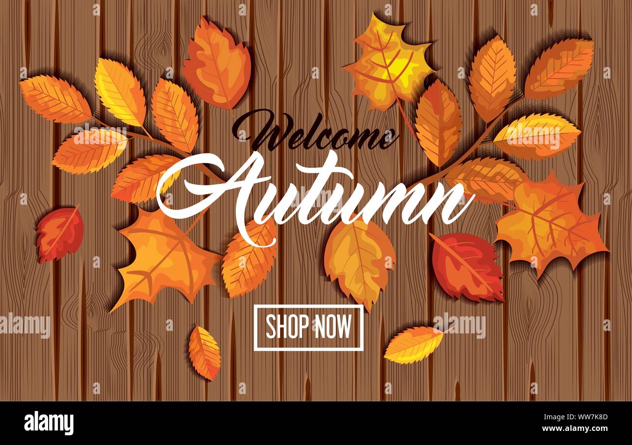 Muster willkommen Herbst mit Blätter in Holz- Stock Vektor