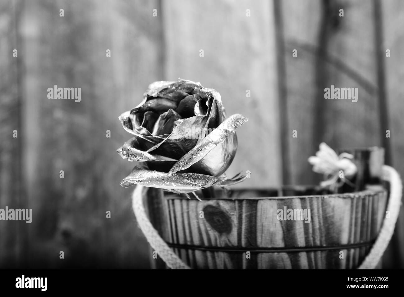 Goldene Blume. Flower Shop Dekor. Luxus und Erfolg. metallisierte Dekoration. antike Konzept. Wohlstand und Reichtum. floristik Geschäft. Vintage und Schmuck. natürliche Schönheit. Gold stieg. Antike Kunst Stockfoto